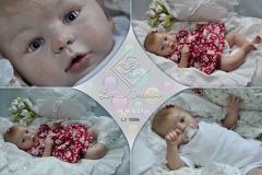 0286lais01