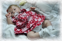0286lais06