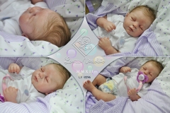 0296olivia01