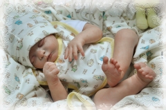 0301anabeatriz09