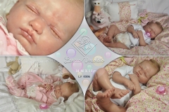 Leonor