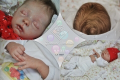 0327livia01