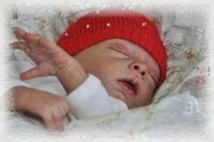 0327livia08