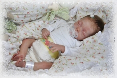 0327livia11