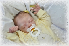 0331sophia04