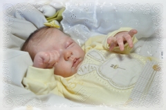 0331sophia05
