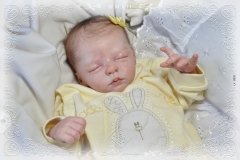 0331sophia07
