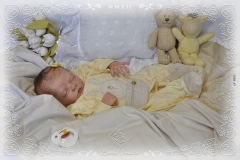 0331sophia08