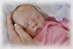 0331sophia10