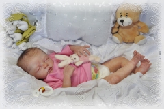 0331sophia11