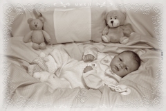 0332raphael02