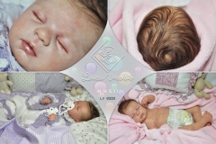 0333raphaella01