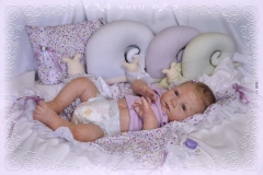 0335tais11