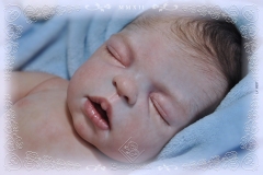 0337guilhermo07