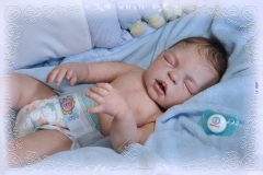 0337guilhermo08
