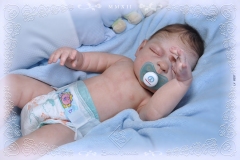 0337guilhermo09