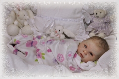 0347alice10