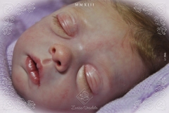 0366livia03