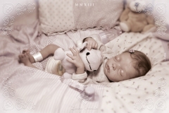 0366livia11