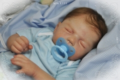 0373oliverraffaelli07