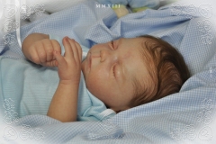 0373oliverraffaelli09