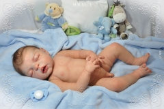 0376marcelohenrique08