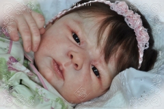 0385bruna05