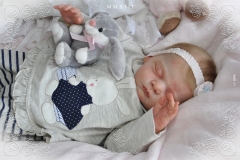 0390-anacarolina05