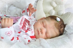 Livia