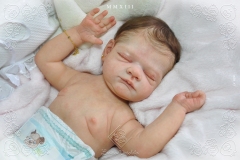 0397livia08