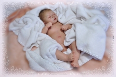 0339sofia11