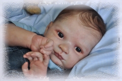 0340theo02