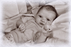 0340theo10