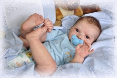 0340theo11