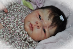 0400aysha03