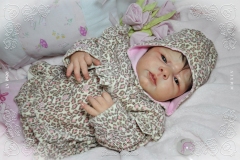 0400aysha04
