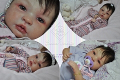 0403sofia06