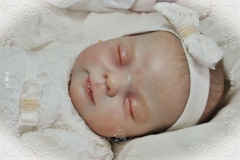 0411anitaluz03