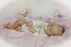 0411anitaluz08