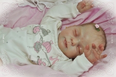 0411anitaluz09