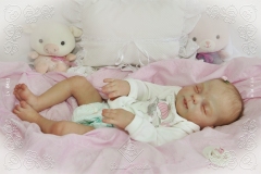 0411anitaluz10