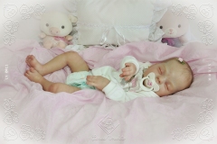 0411anitaluz11