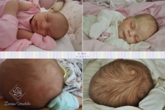0411anitaluz13
