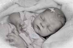 0417gisella11