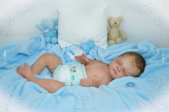 Nicolas