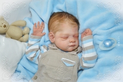 0421nicolas05