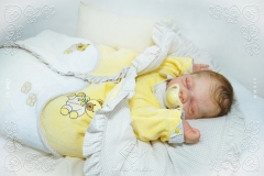 0421nicolas10