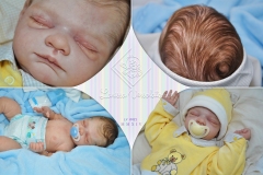 0421nicolas11