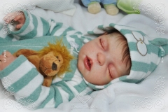 0423nicholas01