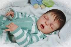 0423nicholas03